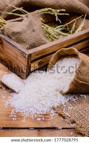 Organic gereal rice. Fall harvest cornucopia in autumn season.