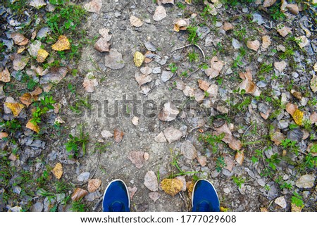 A wide angle shot of a leaf filled ground with navy blue shoes on the edge of the shot