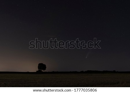 C / 2020 F3 comet (NEOWISE) in the evening sky. On the horizon is a silhouette of a tree and a bright comet among the stars. Photographed in Hungary on July 14, 2020.