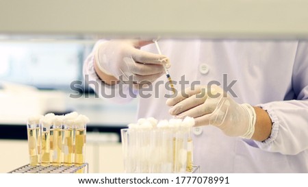 Scientist transfer sample using syringe, Most Probable number (MPN) technique for counting the Coliform bacteria cultured with Tryptose Lauryl broth in Test-tube yellow solution for analysis disease. Royalty-Free Stock Photo #1777078991