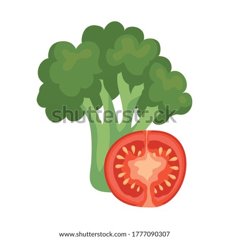 tomato and broccoli design, Vegetable organic food healthy fresh natural and market theme Vector illustration