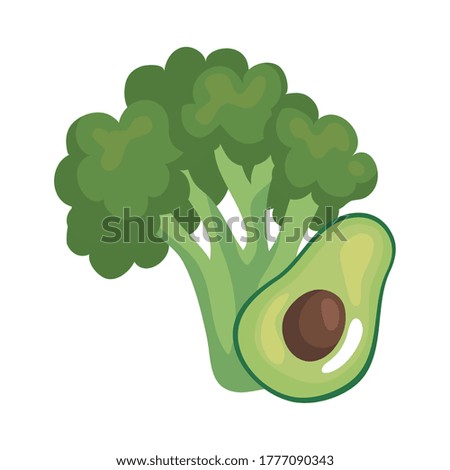 broccoli and avocado design, Vegetable organic food healthy fresh natural and market theme Vector illustration