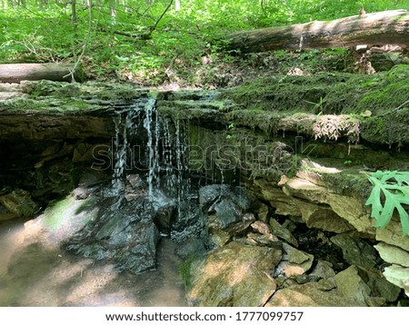 A small peaceful waterfall over a hidden spot in a creek with green nature and lively shrubbery in the background
