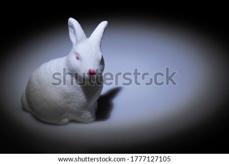 Cute little bunny rabbit on dark black background.