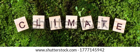 The word climate is written on a background of moss in letters on wooden blocks. Top view. Banner 