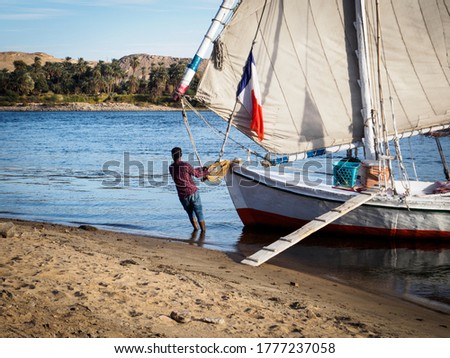 a sailor brings the feluca on shore on river nile in egypt