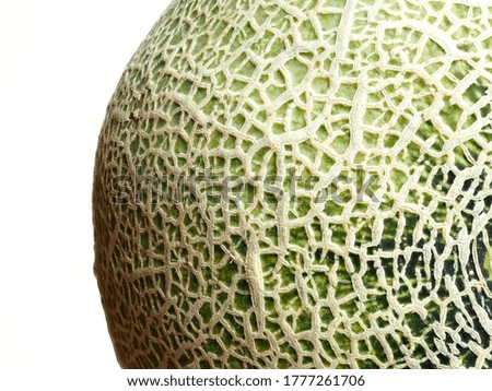 Close-up of a reticulated melon.