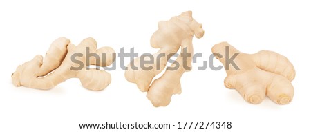 Set of fresh whole and cutted ginger isolated on a white background. Clip art image for package design.