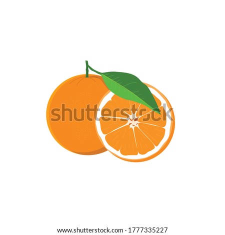 Vector Graphic Illustration orange fruits good for web and application design