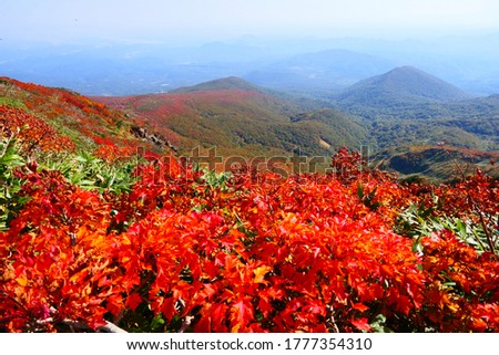 Japanese Autumn Colors in Kurikoma National Park.This place is Mt.Kurikoma-san.Kurihara,Miyagi,Japan.Early October. Royalty-Free Stock Photo #1777354310