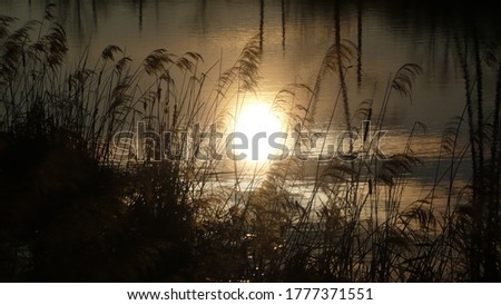 
Beautiful sunset reflected in the water. It can be a great background or part of the overall design of a website, clip or photo work.