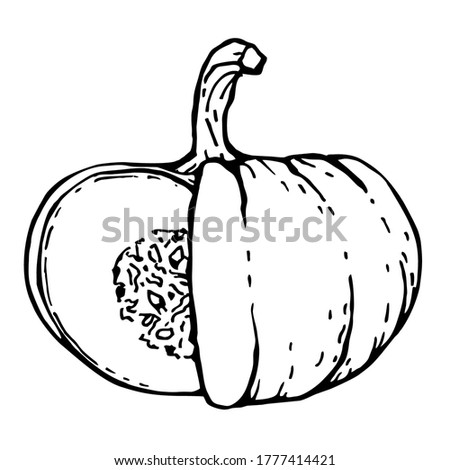 Pumpkin with cut or slice out of the side. Vector illustration of a hand-drawn outline on a white background, doodle.