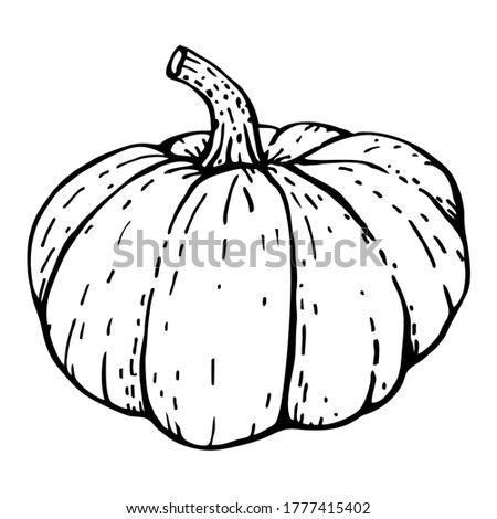 Large pumpkin. Vector illustration of a hand-drawn outline on a white background, Doodle.