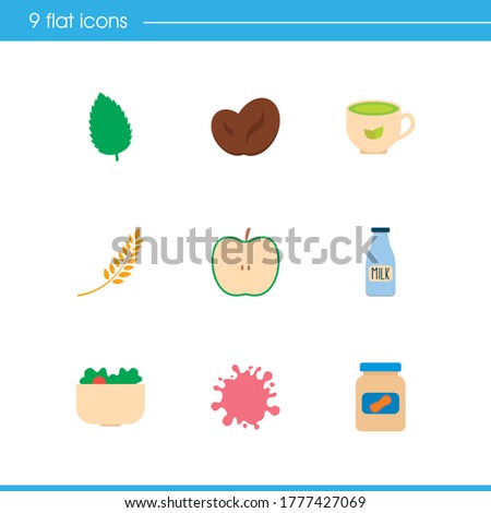 Organic food icon set and organic food with mint leaf, fruit splash and glass milk. Lactose bottle related organic food icon vector for web UI logo design.
