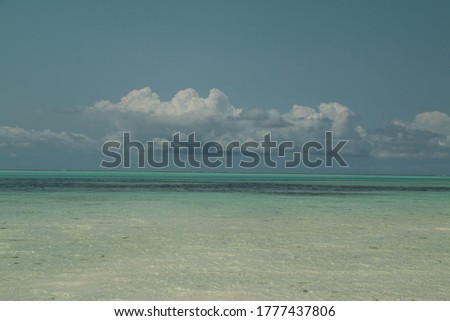 The viewpoint from Jambiani Beach during low tide, in Zanzibar, Tanzania of the Indian Ocean with a giant white cloud above the horizon