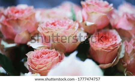 Close up view of beautiful bouquet of pink roses.