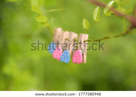 Sweet cloth clamps hanging on a string on with natural background/many little heart colorful on wood cloth