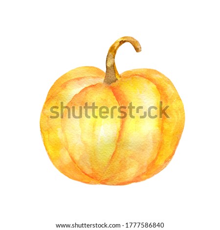Watercolor pumpkins.Hand drawn watercolor painting on white background. Botanical illustration for design and halloween print.


