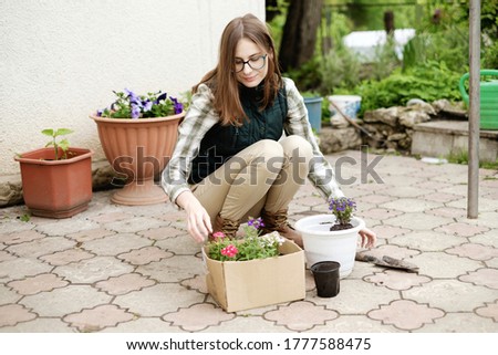 woman transplants flowers into flowerpots near her house in the garden