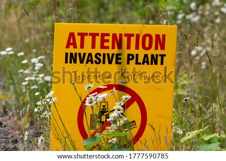 Attention sign for invasive plant Japanese knotweed in Canada Royalty-Free Stock Photo #1777590785