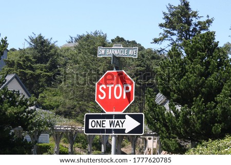street sign, stop sign, one way sign, in trees outside