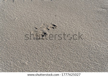 This is a picture of textures in the sand at a Texas beach. 