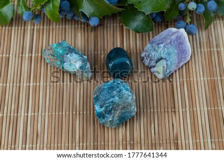 On a wooden background lies four semi-precious stones, heliotrope, malachite, fluorite, apatite. A branch of mahonia is visible from behind.
 Royalty-Free Stock Photo #1777641344