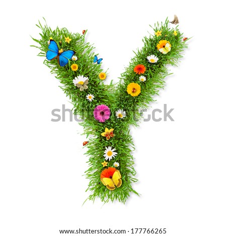 Fresh grass letter "Y" with blooms and butterflies. isolated on white background