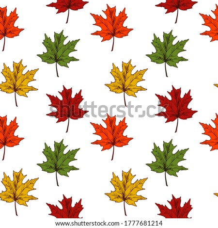 Autumn maple leaves seamless pattern isolated on white background. Hand drawn colored sketch vector illustration. Vintage line art