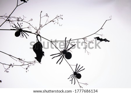 Spiders and dead mouse of black paper climbing on a brunch with silhouettes of bats on white background. Homemande Halloween decoration, DIY. Trendy Halloween minimal card or poster