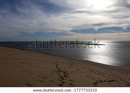Famous Dune of Pilat and pine forest located in La Teste-de-Buch in the Arcachon Bay area, in the Gironde department in southwestern France                                               