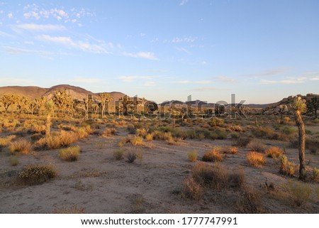 A Desert Landscape During the Day