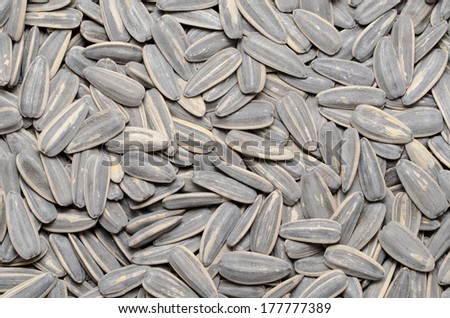 Background image of striped sunflower seed pods 