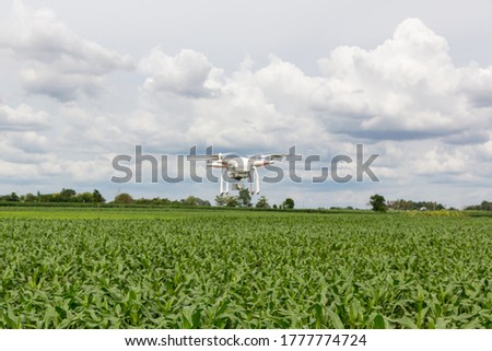 Drone flying over a meadow. Drone on green corn field. drone copter flying with high resolution digital camera over a crops field, agriculture concept