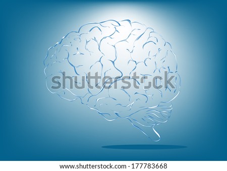 vector illustration of brain designs 