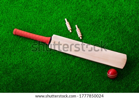 cricket bat and ball place on cricket ground pitch, green grass