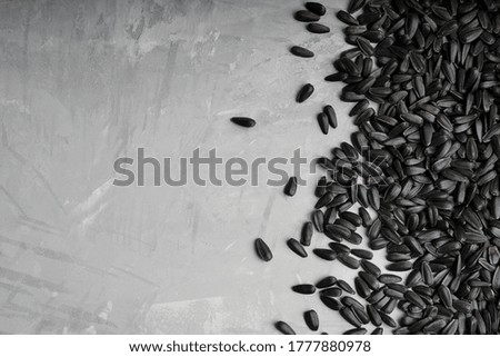 Roasted salted black sunflower seeds are laying in a bunch at the right side of the picture. Image with copy space, horizontal orientation