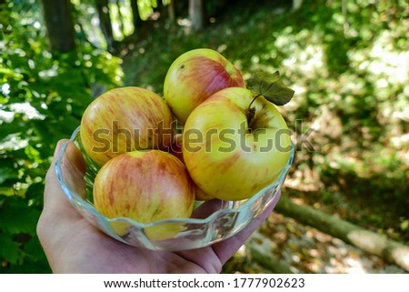 apples in basket, digital photo picture as a background , taken in bled lake area, slovenia, europe