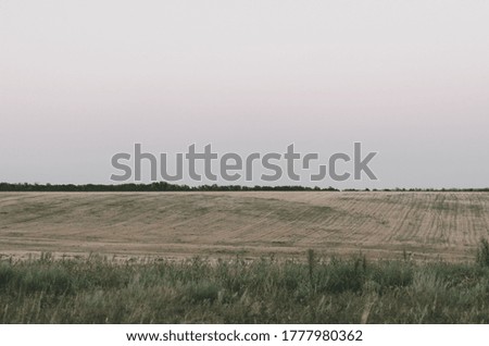 Russian field at sunset at dusk