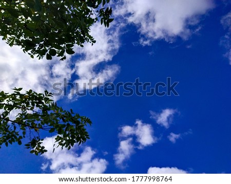 The picture of the sky and white clouds with branches and leaves on the left side of the picture.


