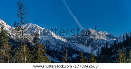 Panorama of Carpathian Mountains in winter 