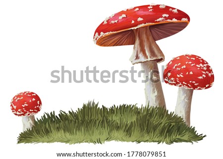 Red fly amanita mushrooms in grass. Clip art on white background