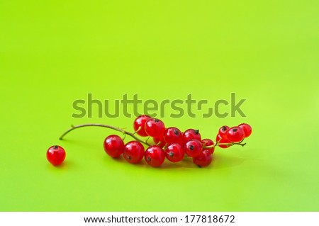 Bright shot of a red currant berry cluster and one separate berry on green background in studio environment. Copy space