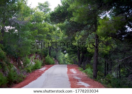Mystical picture of landscape of road leaving from green trees