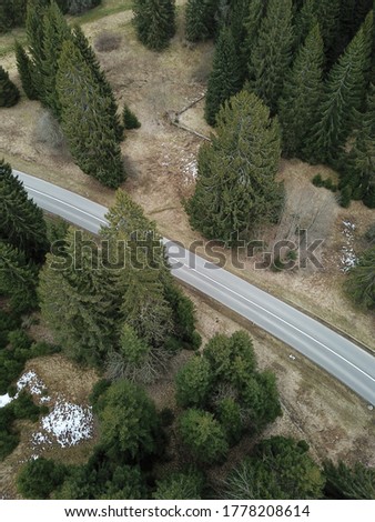 Road and pine forest with a bit of snow.