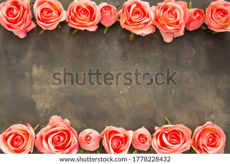 Flowers composition. Rose flowers on background