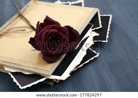 Blank old photos in album and dried flower, on color wooden background