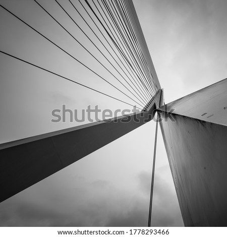 The Erasmus Bridge lines in Rotterdam in The Netherlands