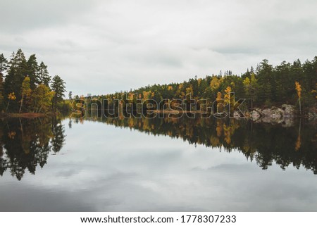 Tyresta National Park is a national park with a surrounding nature reserve in Sweden, located in Haninge and Tyresö municipalities in Stockholm County. Royalty-Free Stock Photo #1778307233