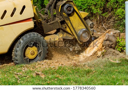 A stump is shredded with removal, grinding the stumps and roots into small chips Royalty-Free Stock Photo #1778340560